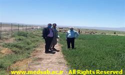 حسین سلطانی ، شبکه بهداشت خوشاب ، روابط عمومی ، دانشگاه علوم پزشکی سبزوار ، خوشاب ، بیماری ، بهداشت ، سلطان آباد حسین سلطانی ، شبکه بهداشت خوشاب ، روابط عمومی ، دانشگاه علوم پزشکی سبزوار ، خوشاب ، بیماری ، بهداشت ، سلطان آباد